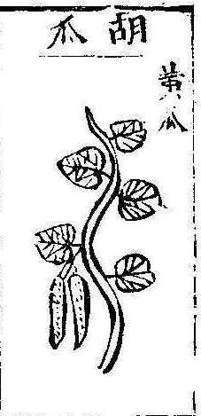 본초강목1 과체 과체4.jpg