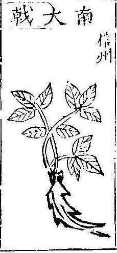 본초강목1 대극 대극2.jpg