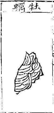 본초강목1 모려 모려.jpg