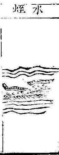 본초강목1 수질 수질.jpg