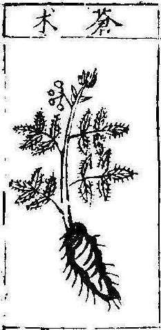 본초강목1 출 창출.jpg