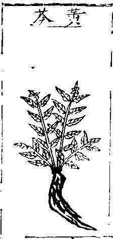 본초강목1 황금 황금.jpg