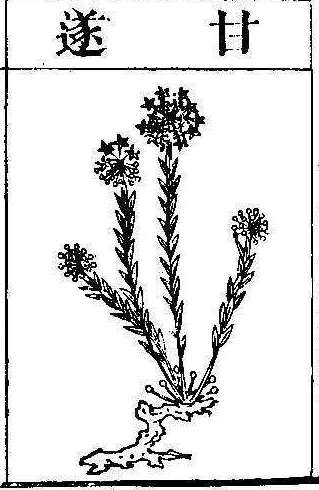 본초강목2 감수 감수.jpg