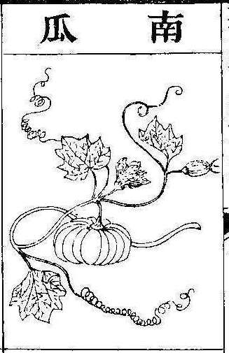 본초강목2 과체 과체2.jpg