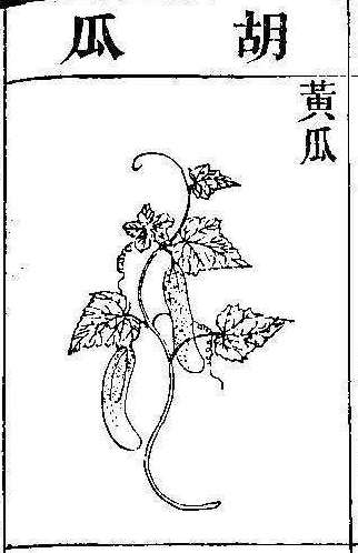 본초강목2 과체 과체4.jpg