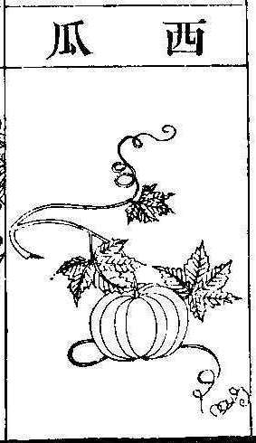 본초강목2 과체 과체8.jpg