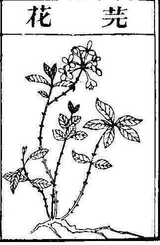 본초강목2 원화 원화.jpg