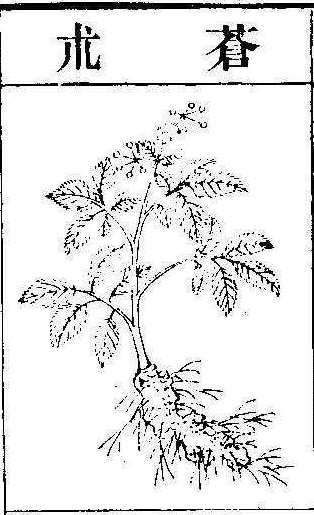 본초강목2 출 출1.jpg