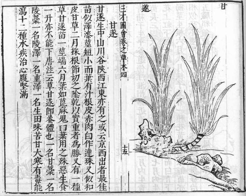 삼재도회 감수 감수.jpg