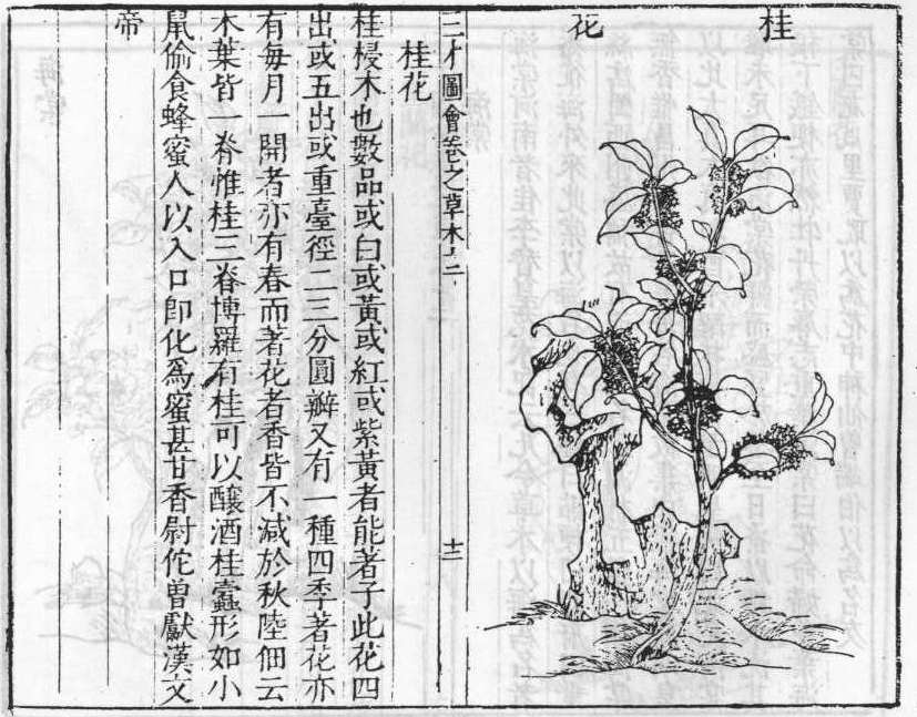 삼재도회 계지 계지.jpg