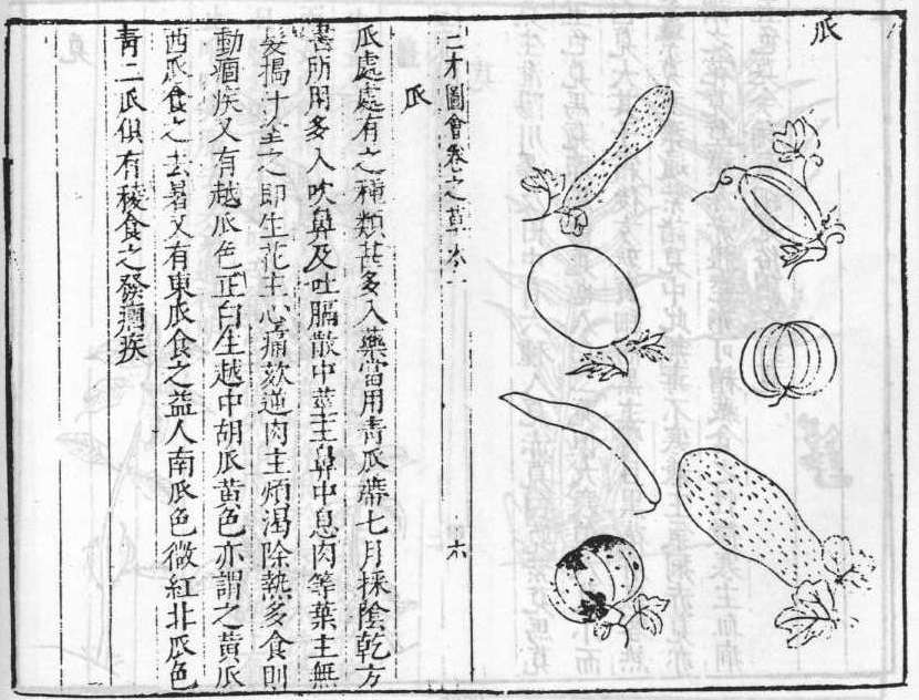 삼재도회 과체 과체.jpg