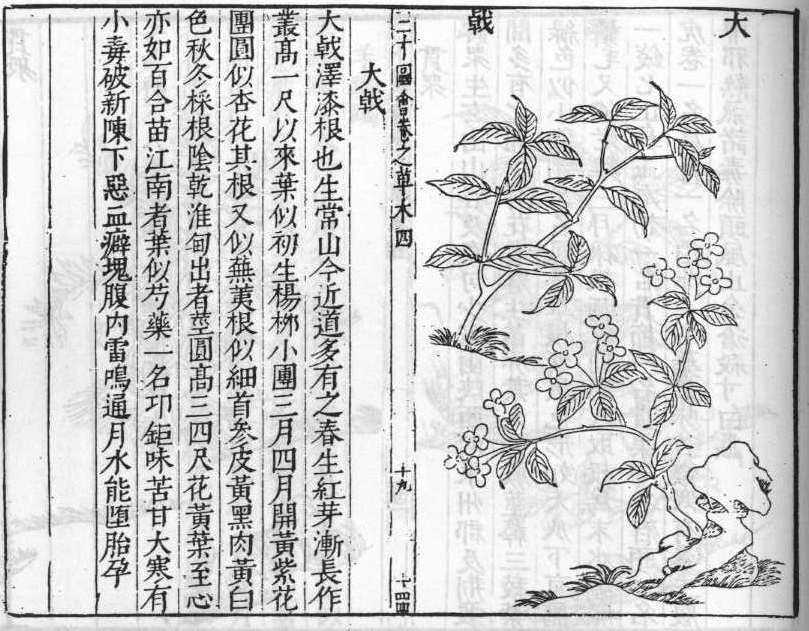 삼재도회 대극 대극.jpg