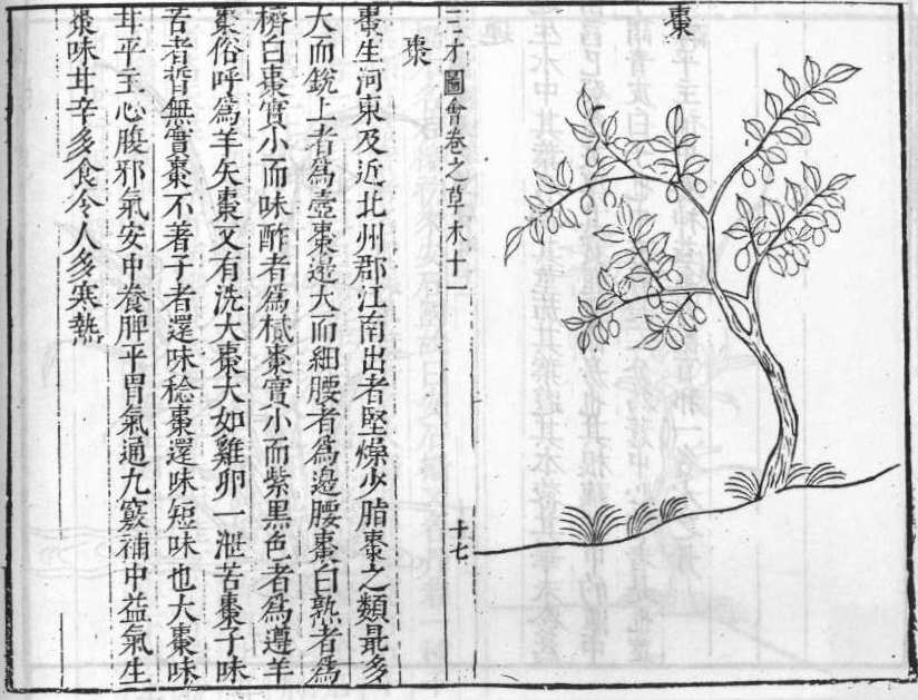 삼재도회 대조 대조.jpg