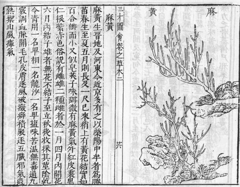 삼재도회 마황 마황.jpg