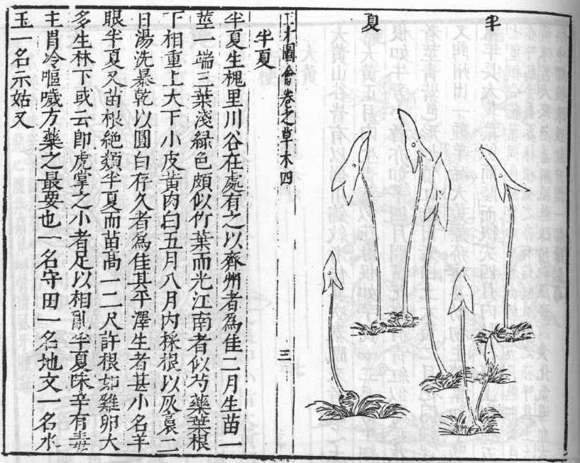 삼재도회 반하 반하.jpg