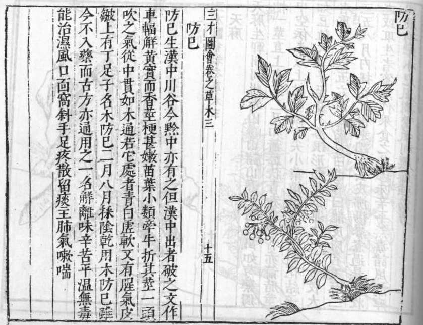 삼재도회 방기 방기.jpg