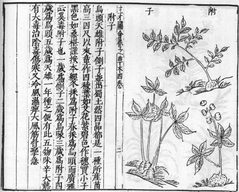 삼재도회 부자 부자.jpg