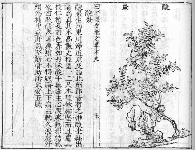 삼재도회 산조인 산조인.jpg