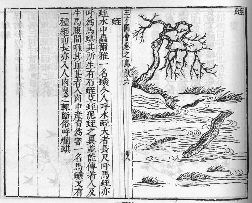 삼재도회 수질 수질.jpg