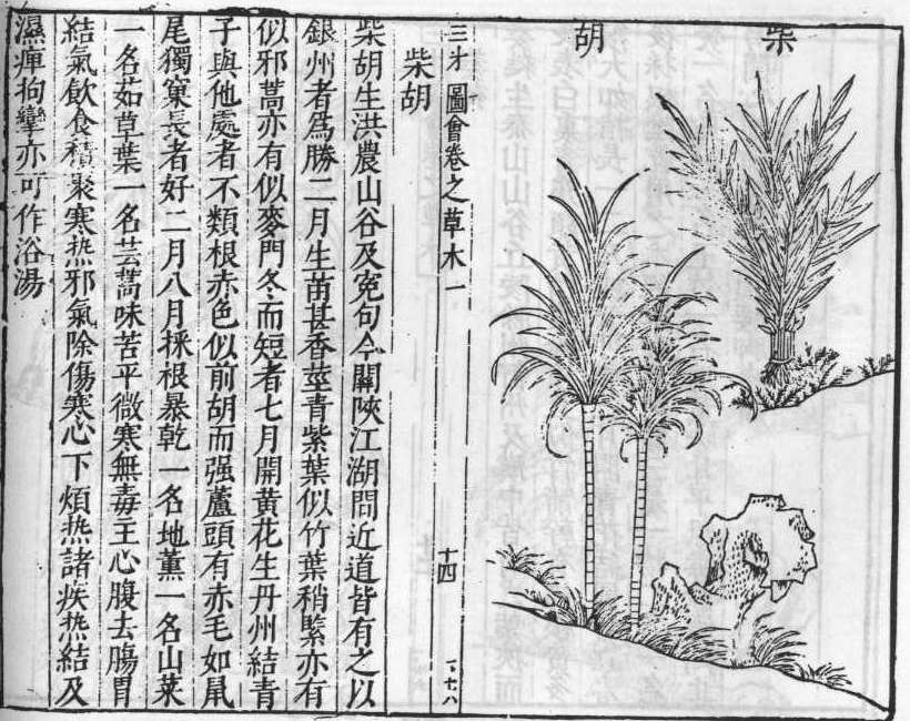 삼재도회 시호 시호.jpg