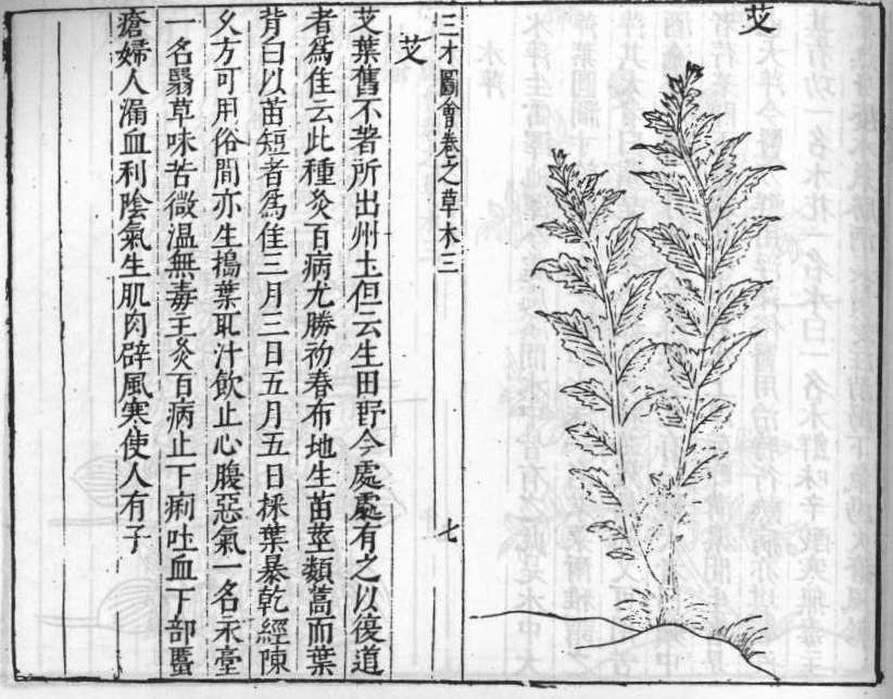 삼재도회 애 애.jpg