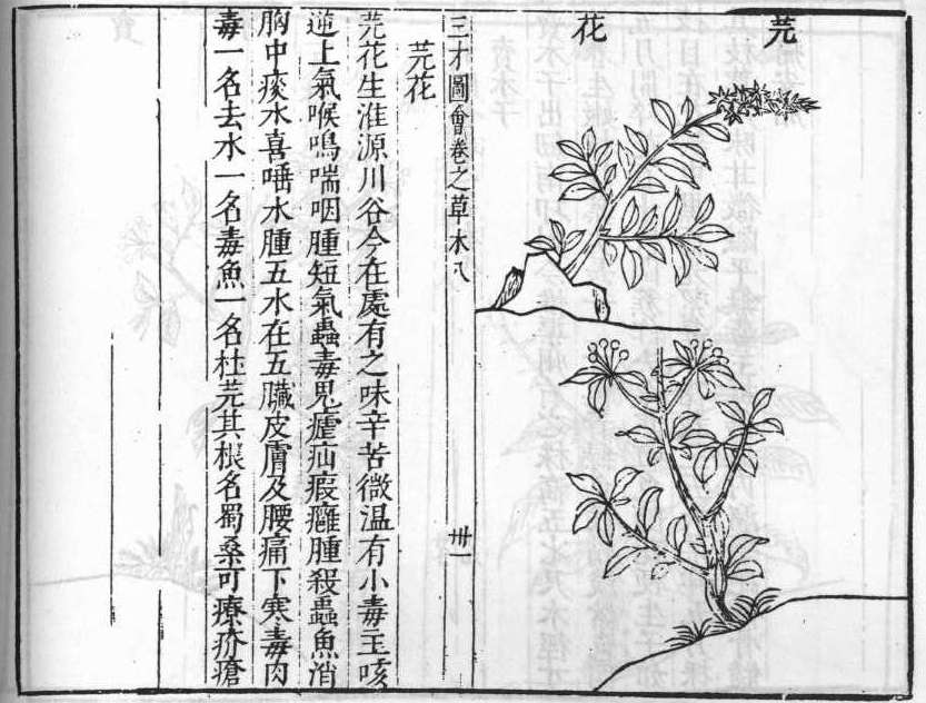 삼재도회 원화 원화.jpg