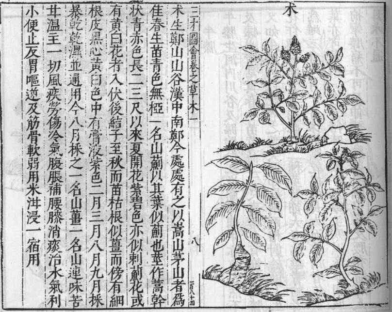 삼재도회 출 출.jpg