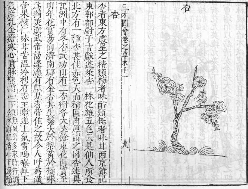 삼재도회 행인 행인.jpg