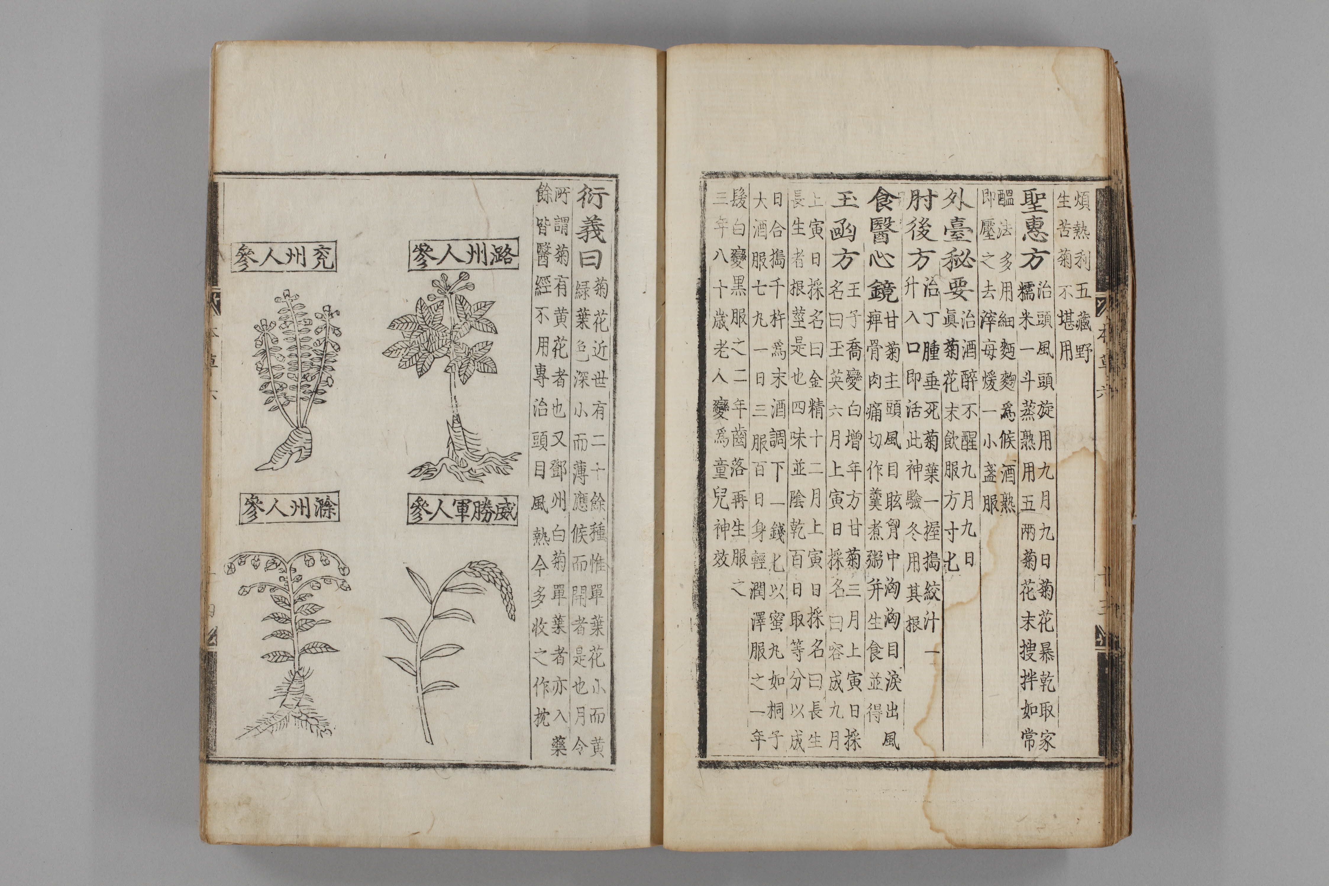 증류본초 인삼 0007-0015_인삼.jpg