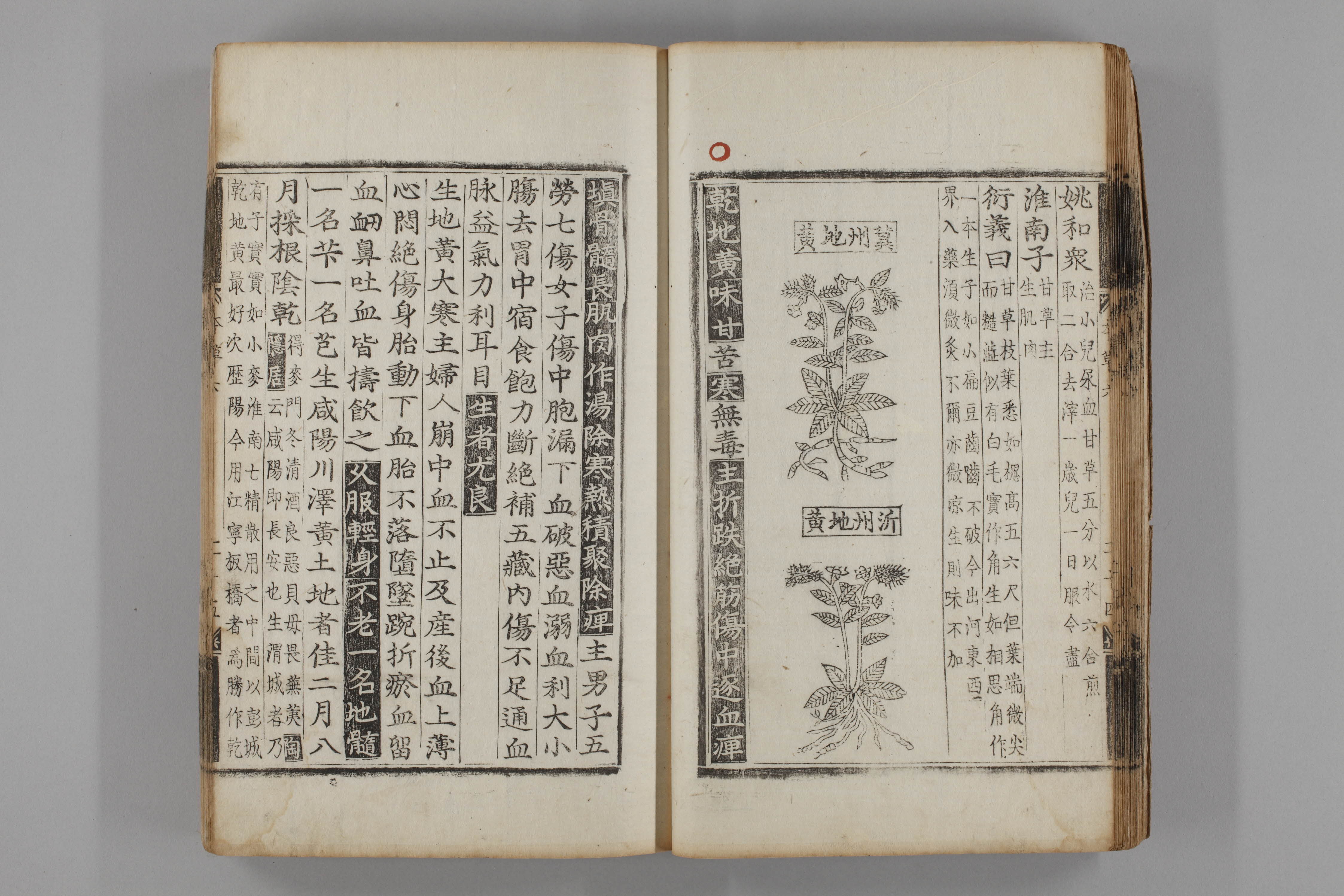 증류본초 지황 0007-0026_지황.jpg