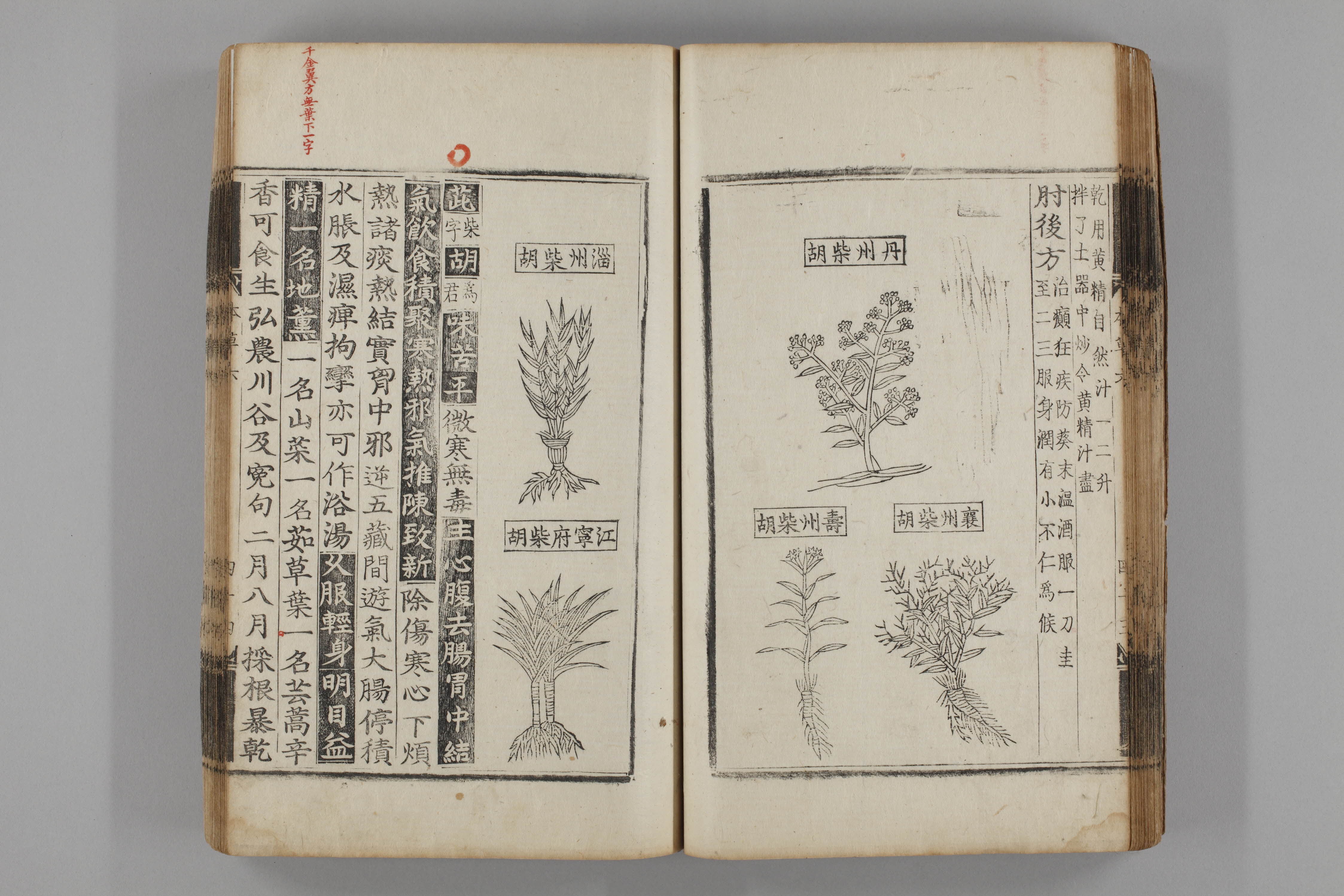 증류본초 시호 0007-0045_시호.jpg