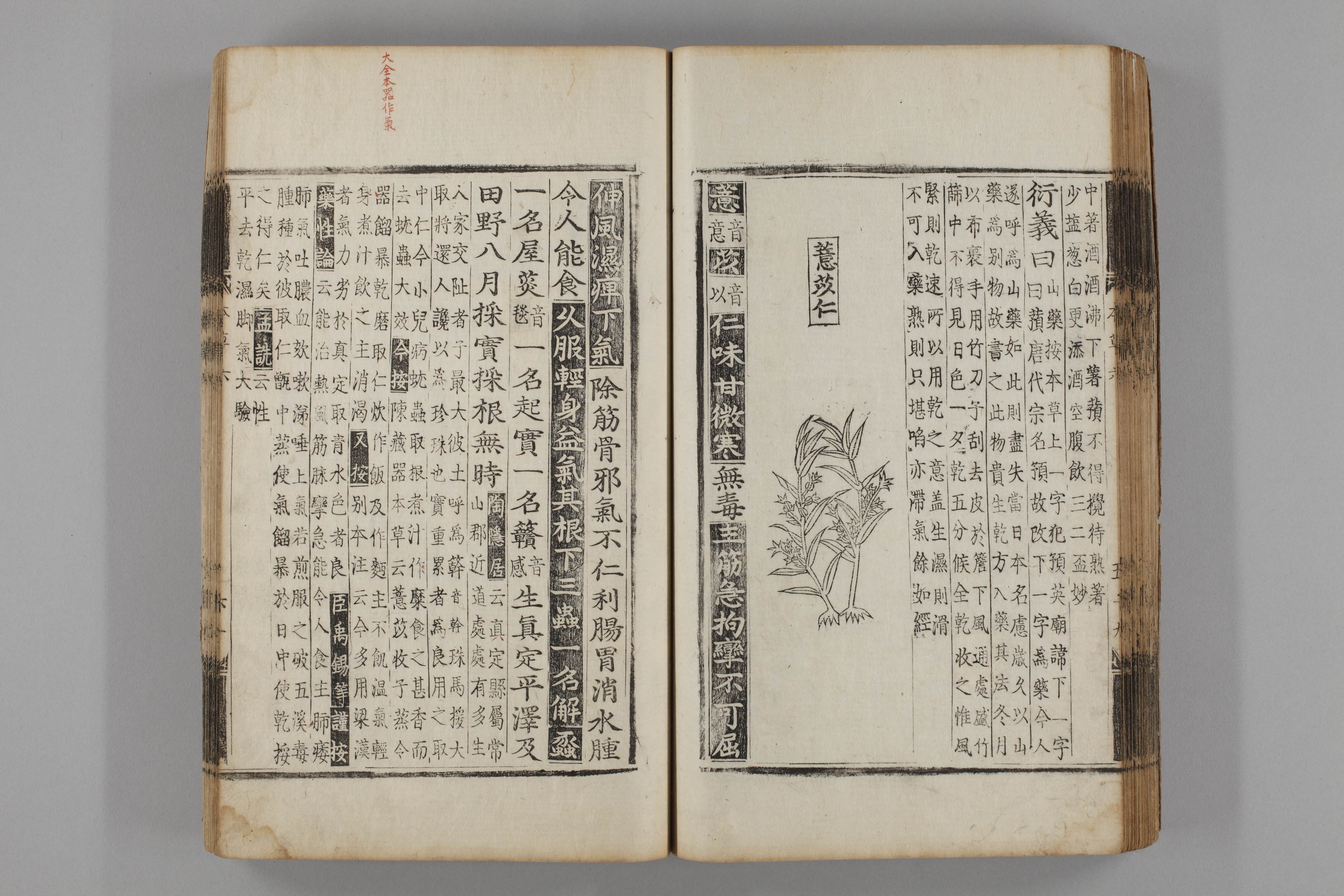 증류본초 의이인 0007-0061_의이인.jpg