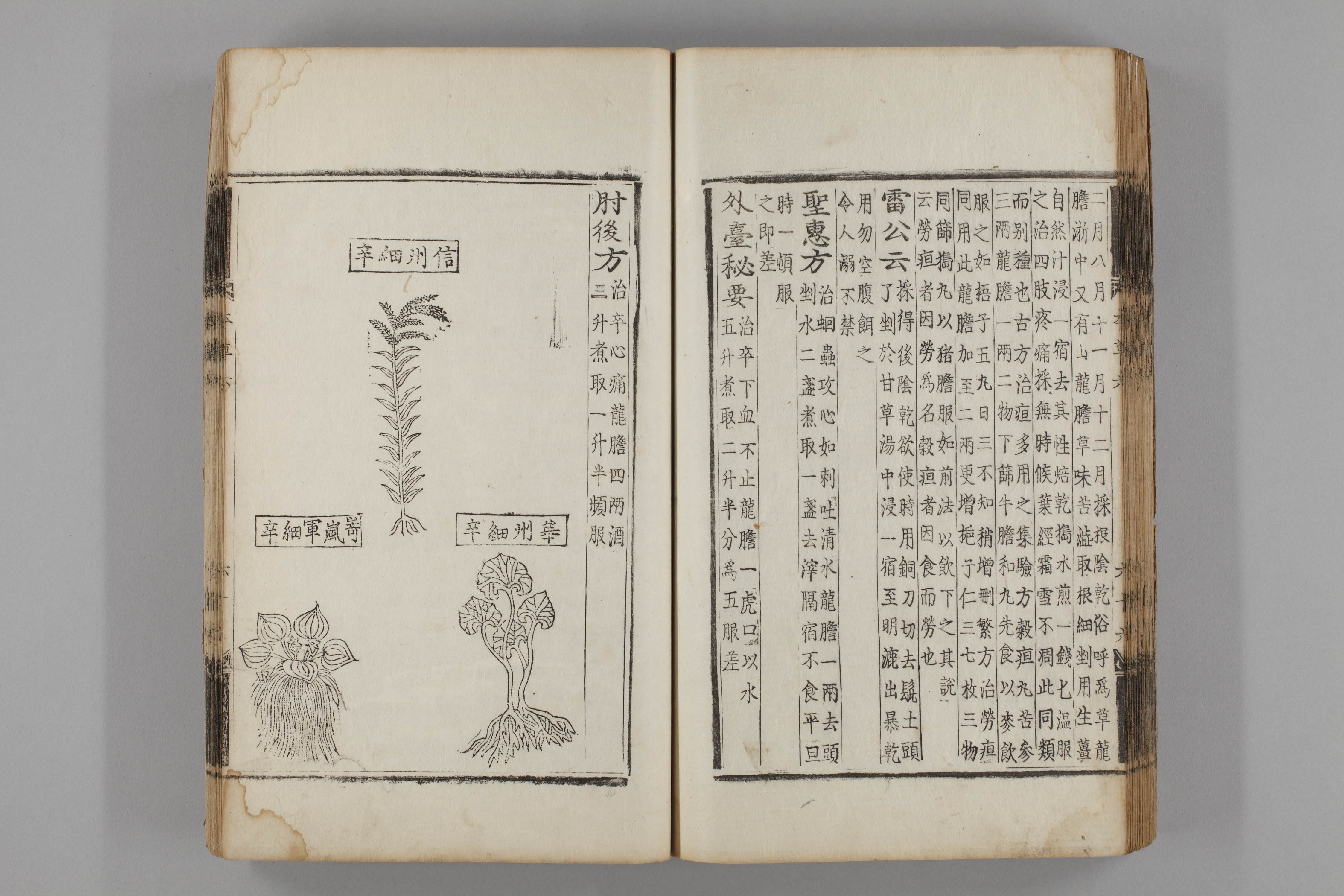 증류본초 세신 0007-0068_세신.jpg