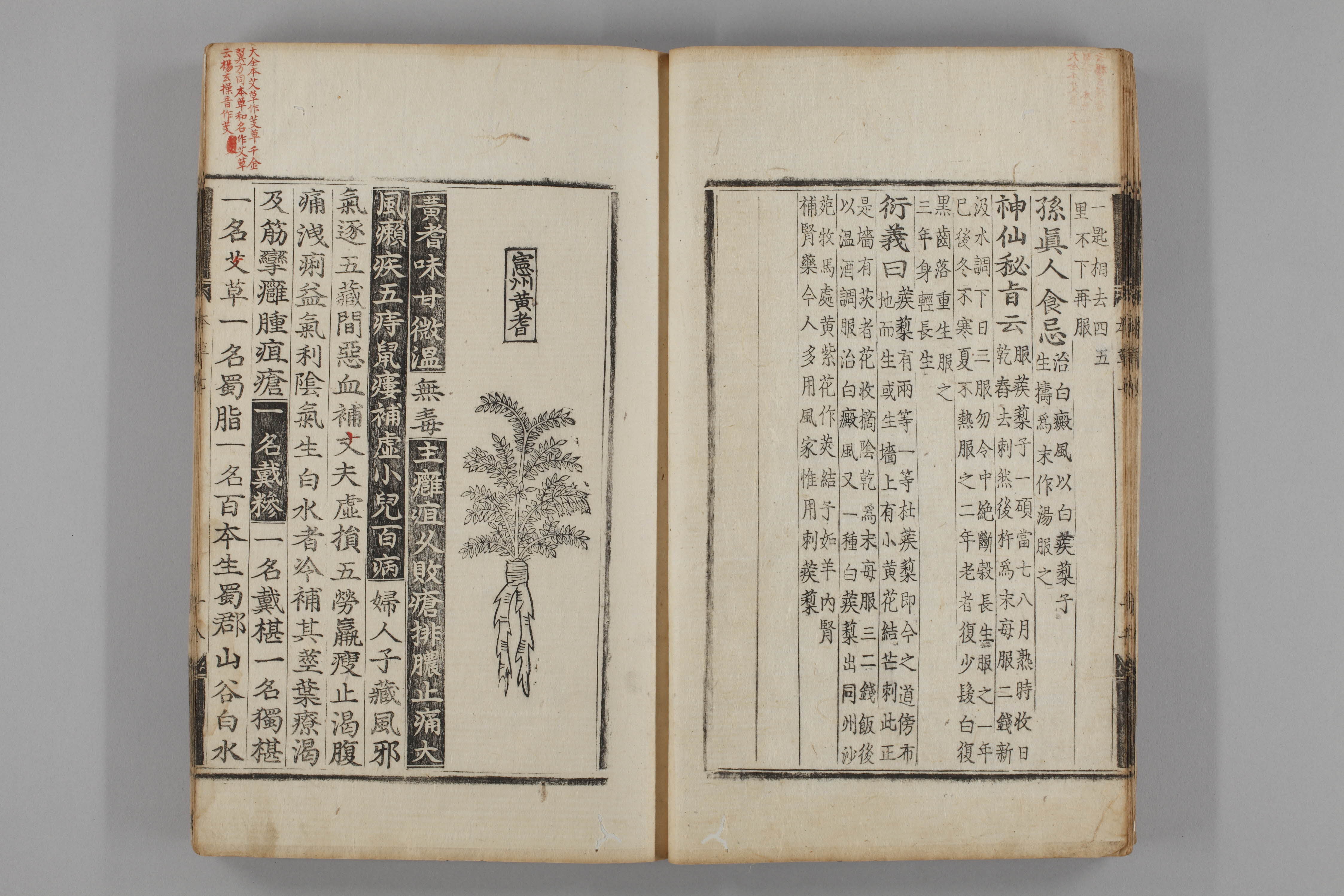 증류본초 황기 0008-0019_황기.jpg