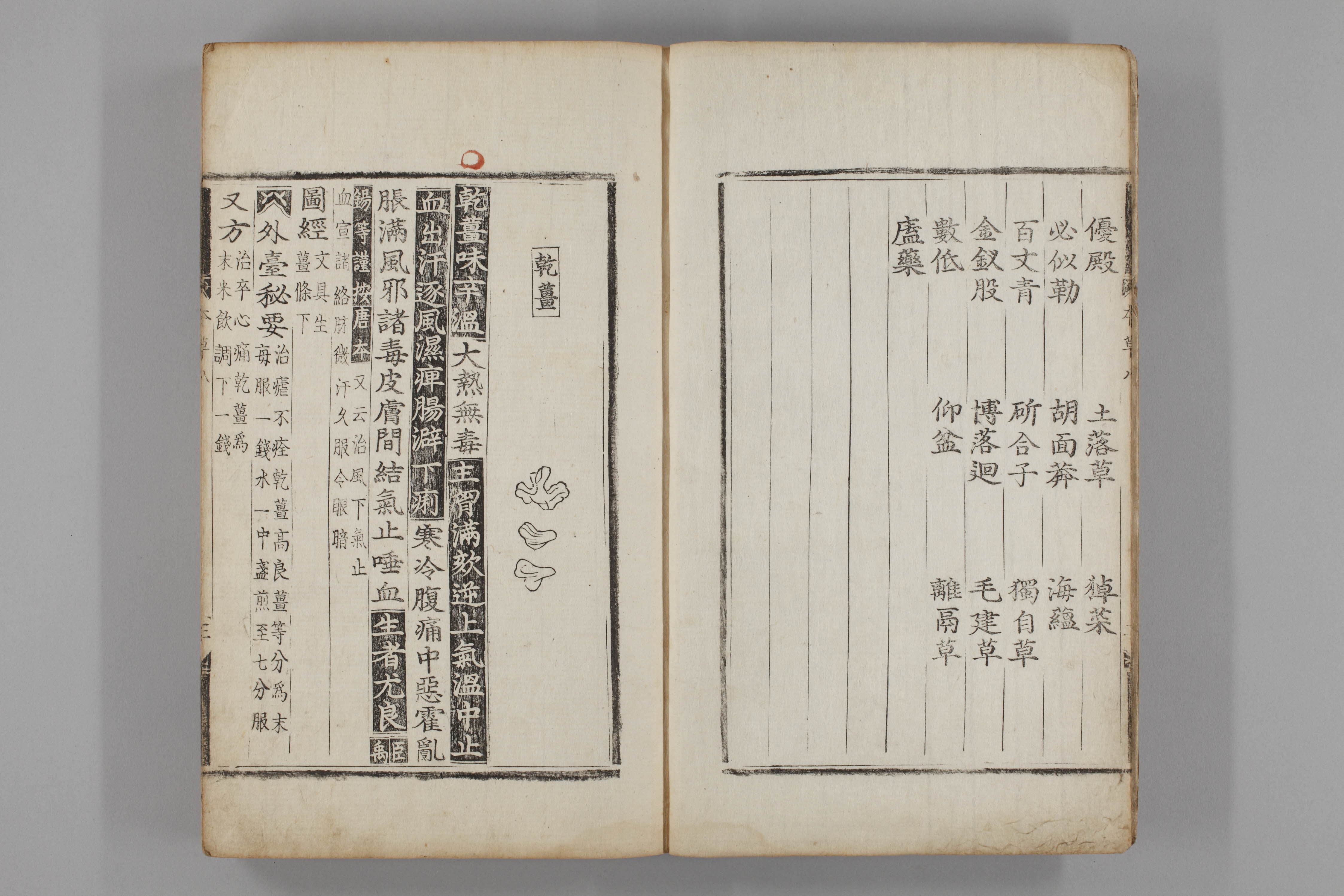 증류본초 생강 0009-0004_건강.jpg