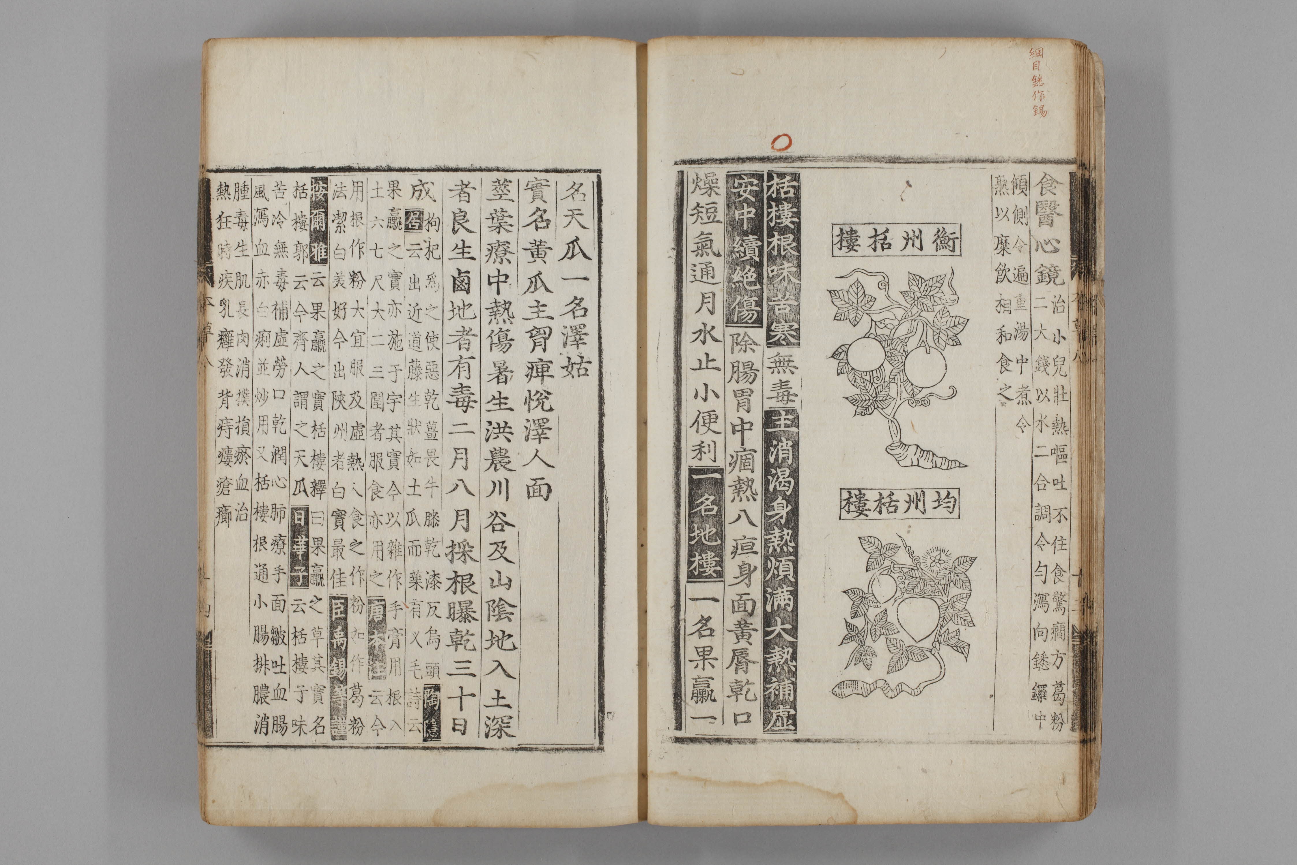 증류본초 과루근 0009-0015_과루.jpg