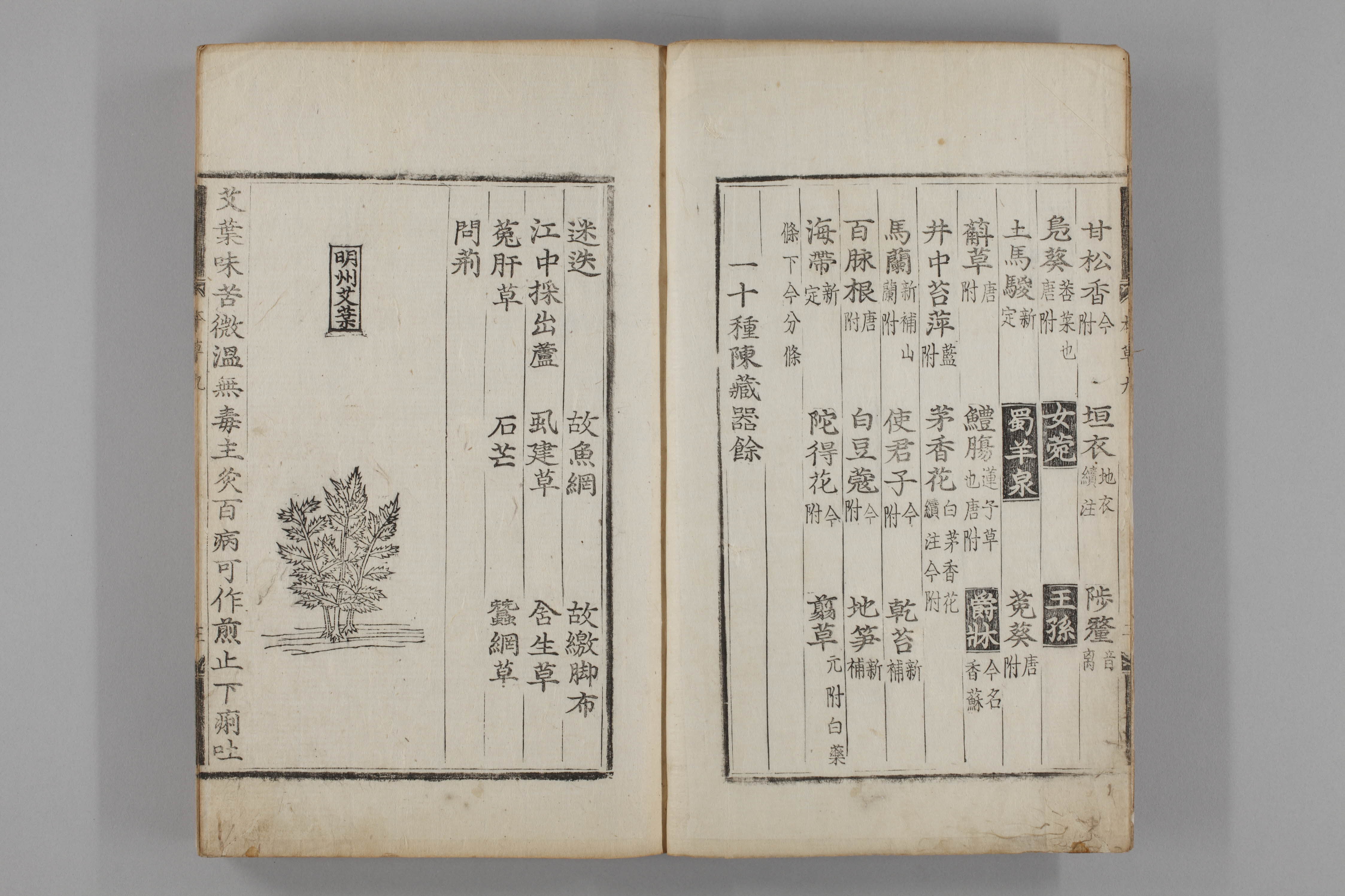 증류본초 애 0010-0004_애.jpg