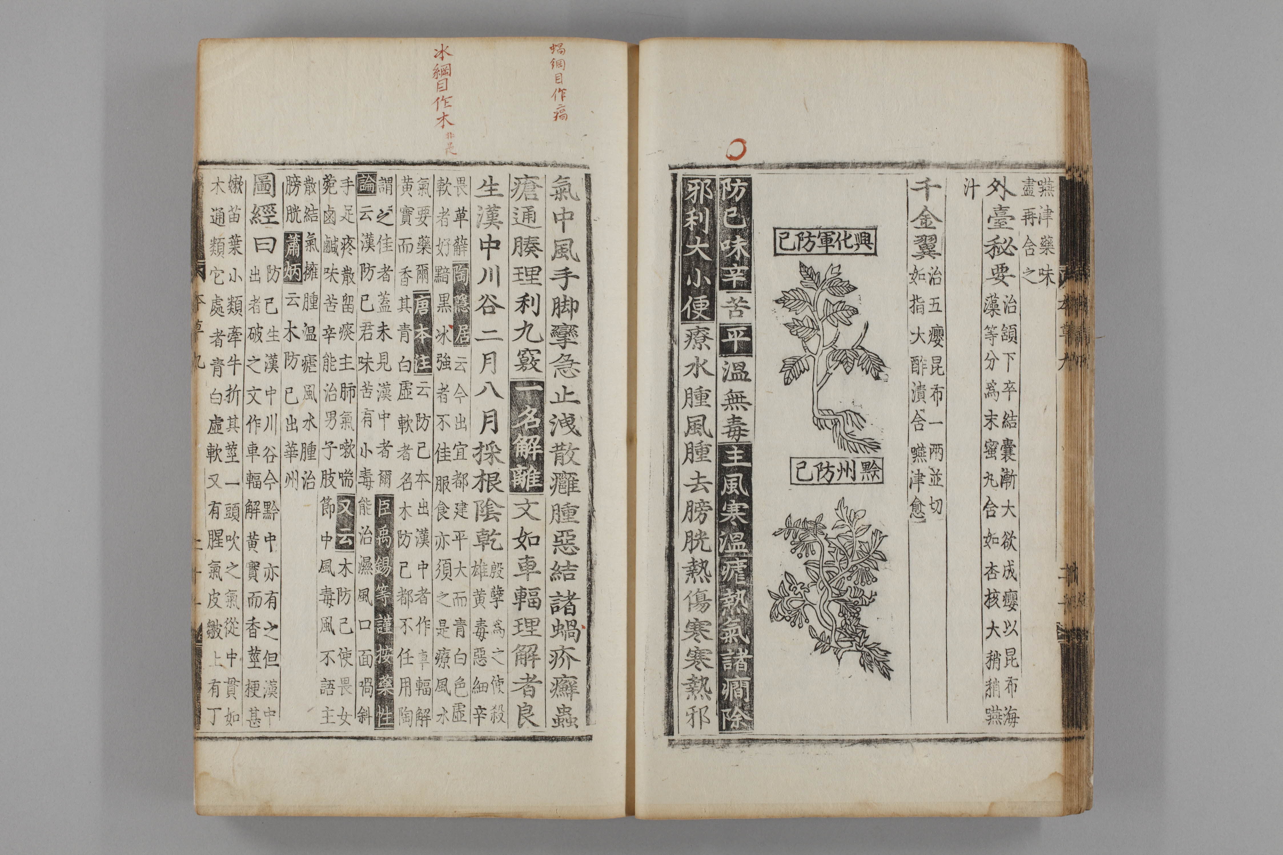 증류본초 방기 0010-0022_방기.jpg