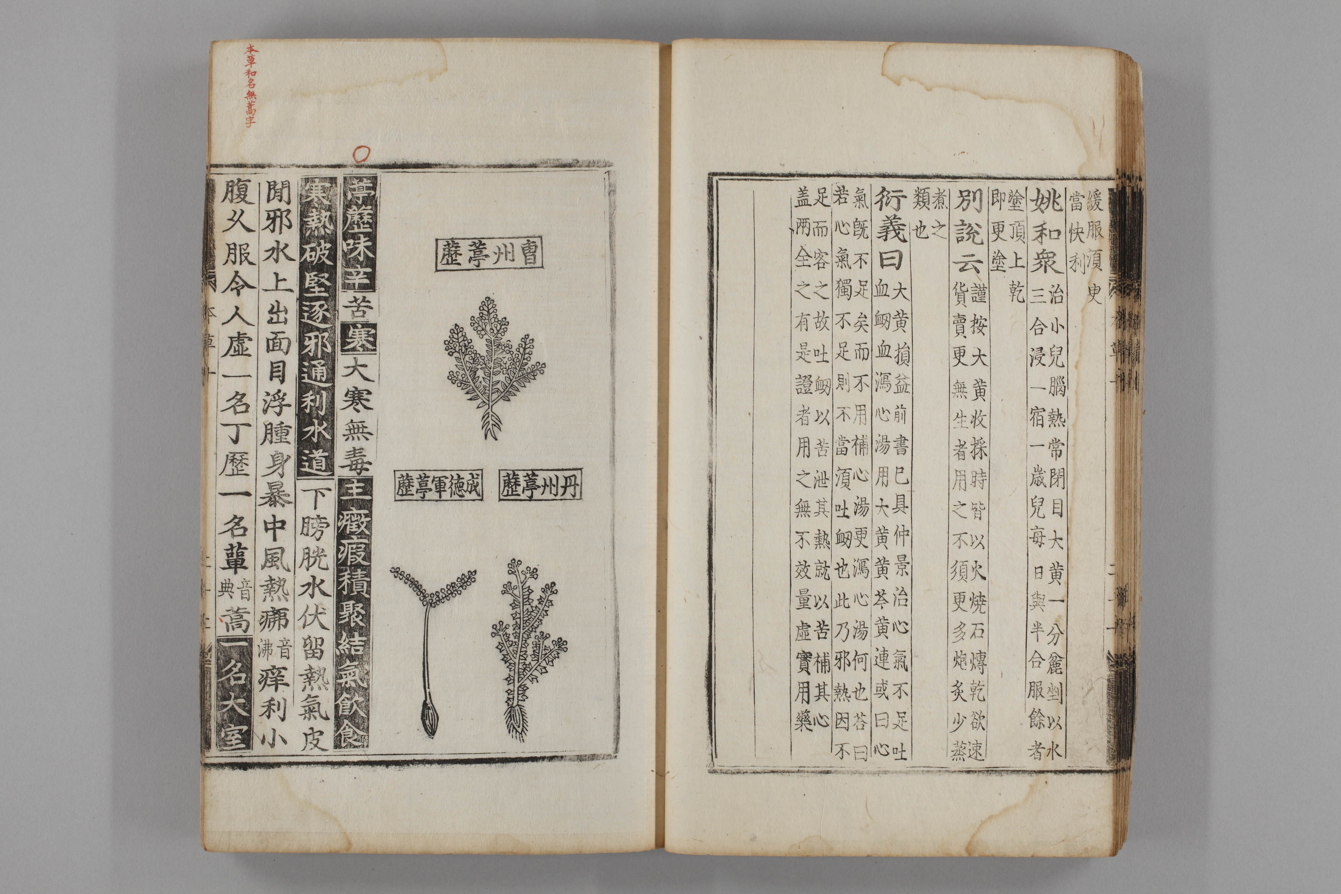 증류본초 정력 0011-0023_정력.jpg