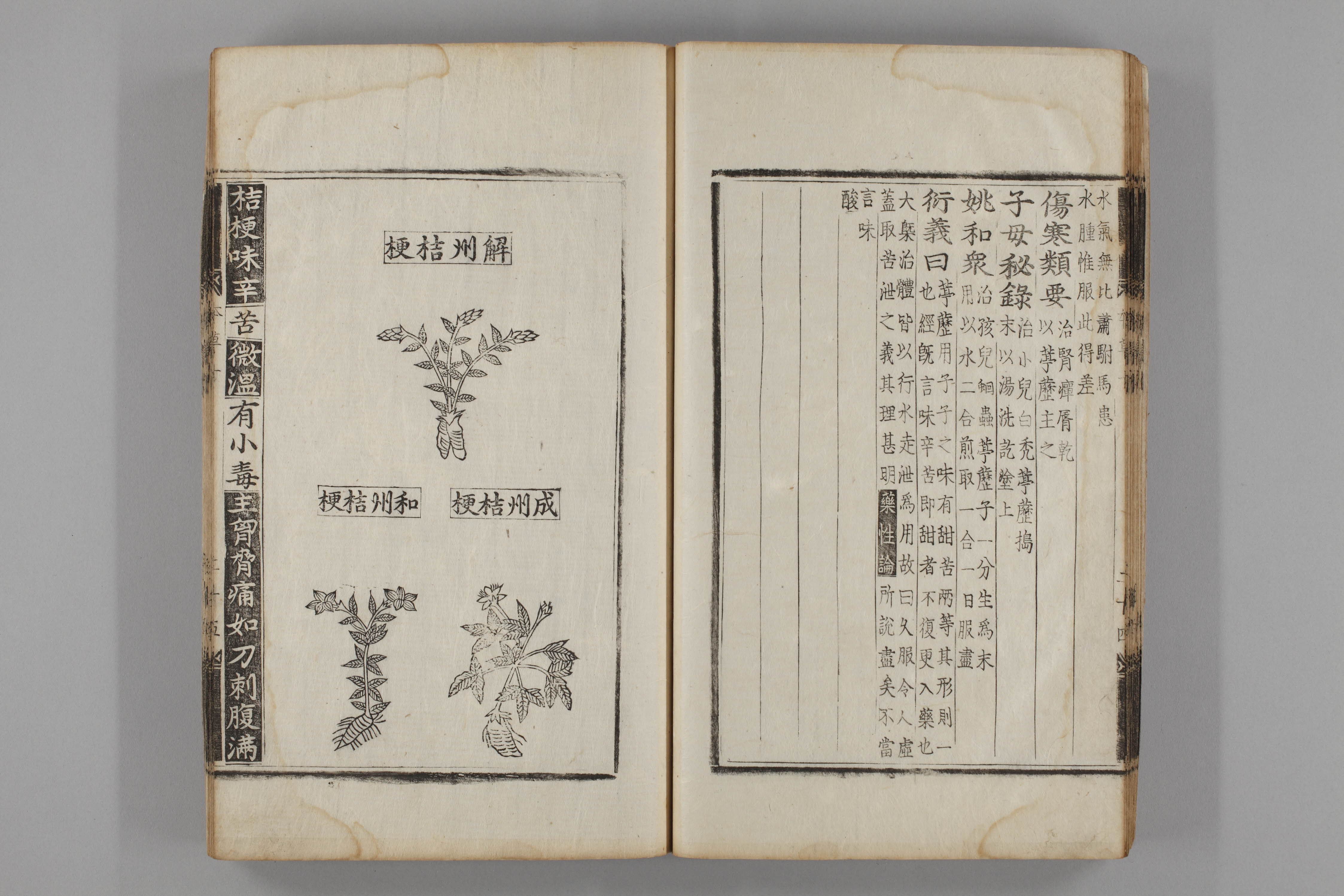 증류본초 길경 0011-0026_길경.jpg