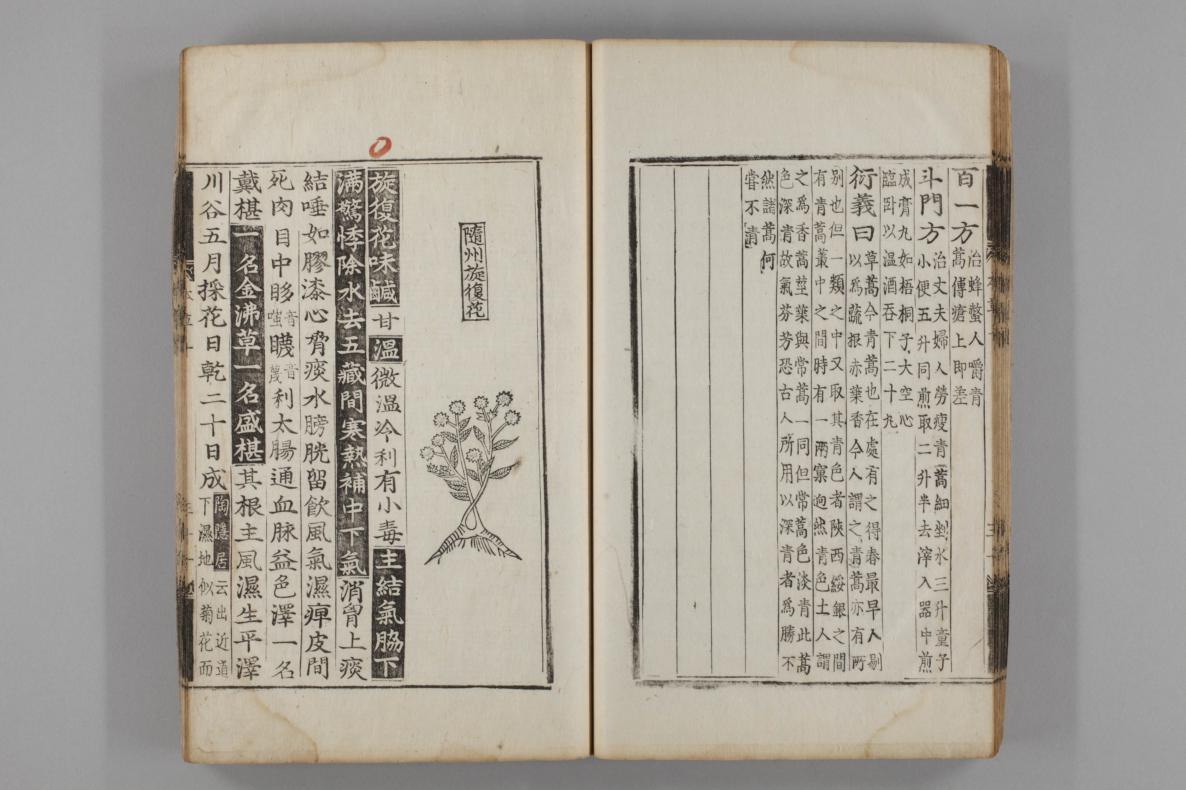 증류본초 선복화 0011-0032_선복화.jpg