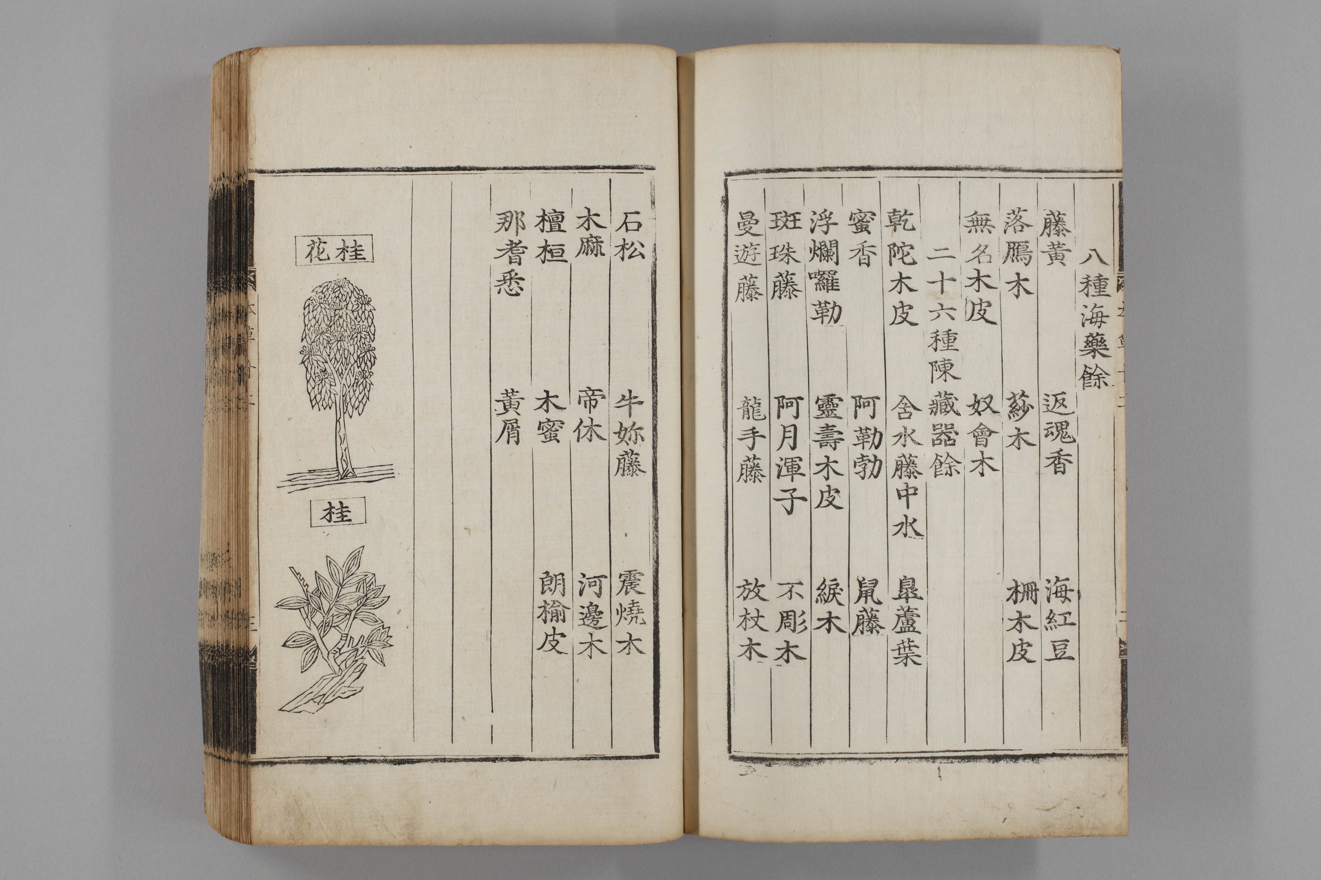 증류본초 계지 0013-0004_계지1.jpg