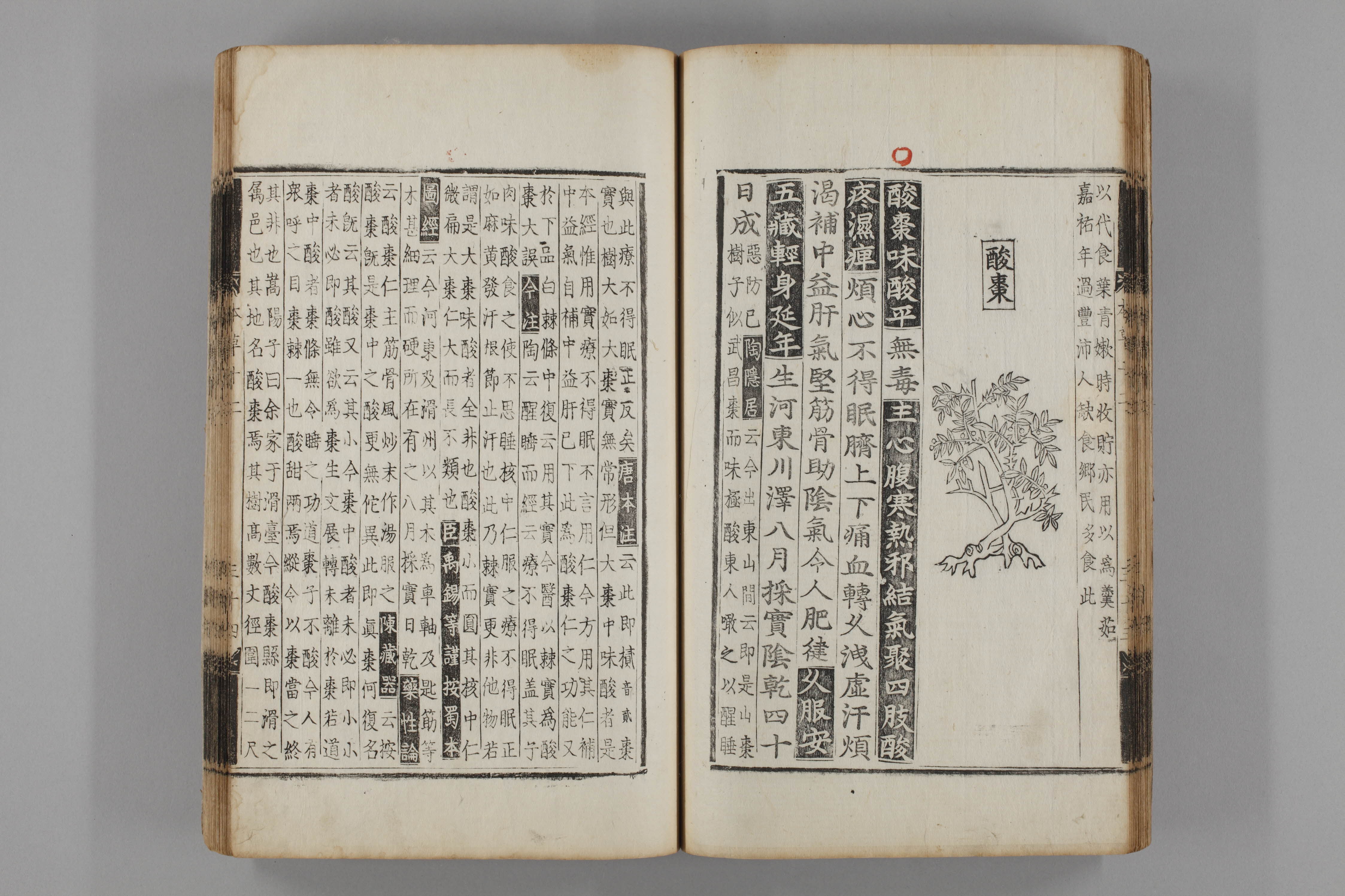 증류본초 산조인 0013-0035_산조인.jpg