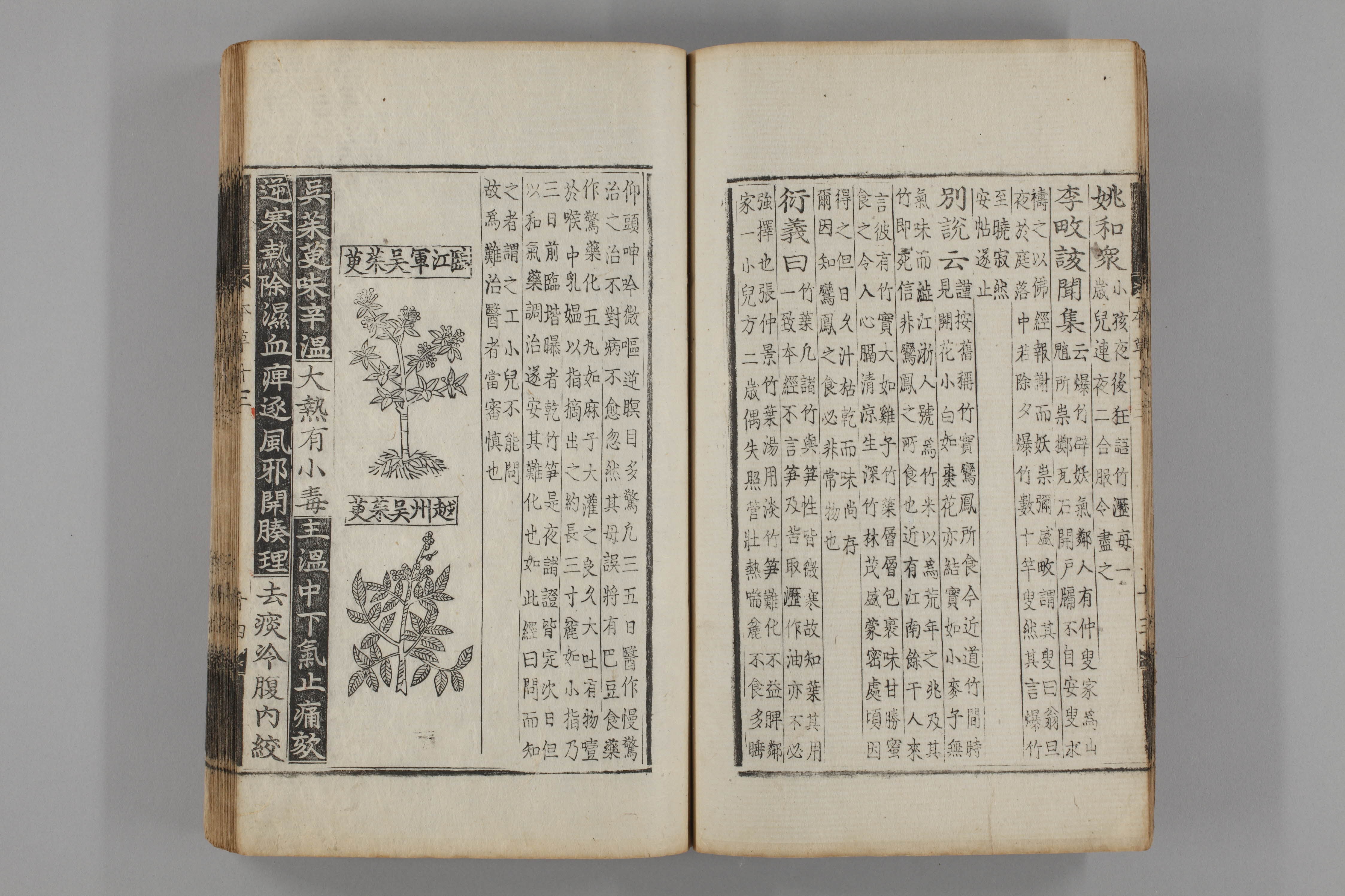 증류본초 오수유 0014-0015_오수유.jpg