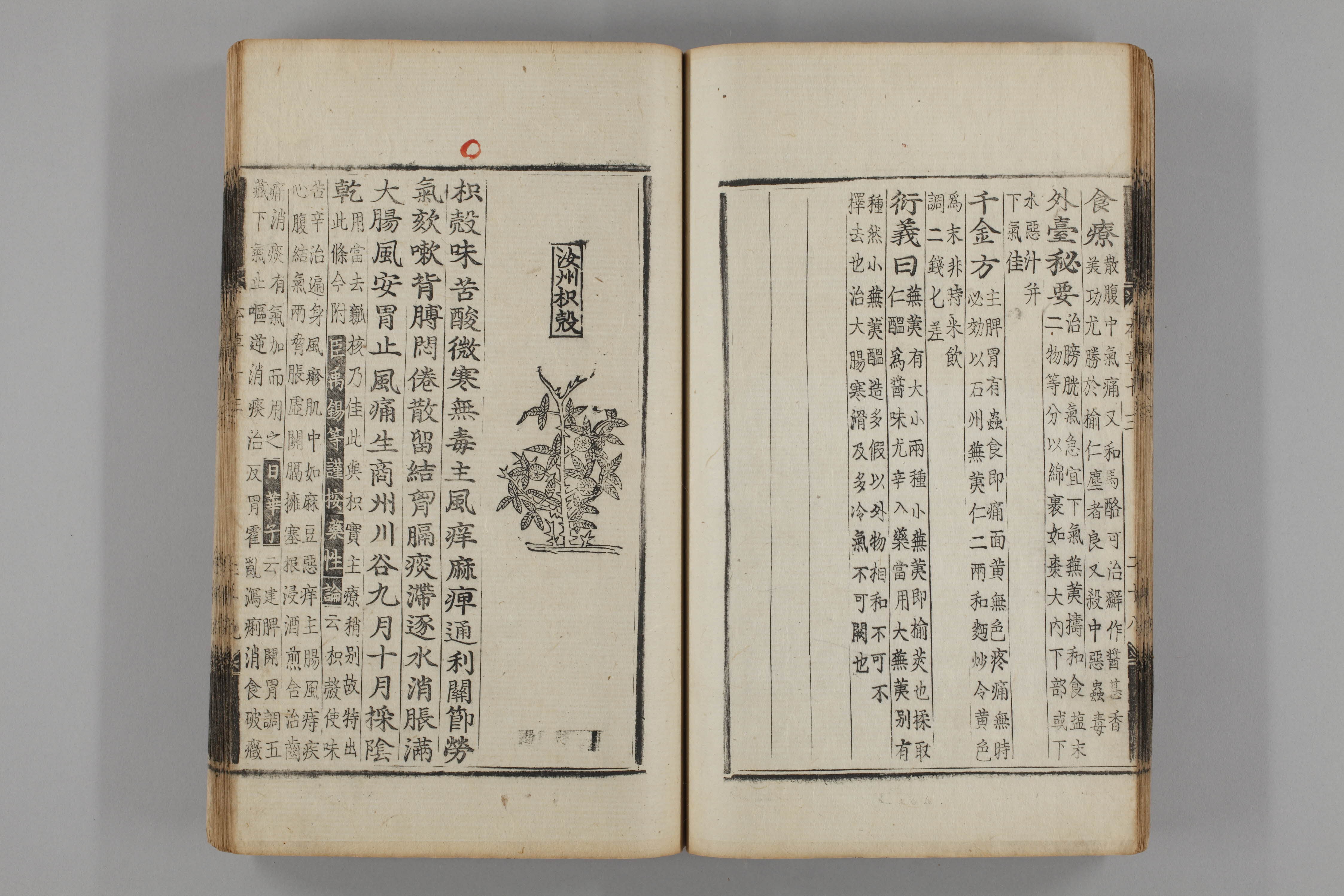 증류본초 지실 0014-0030_지각.jpg