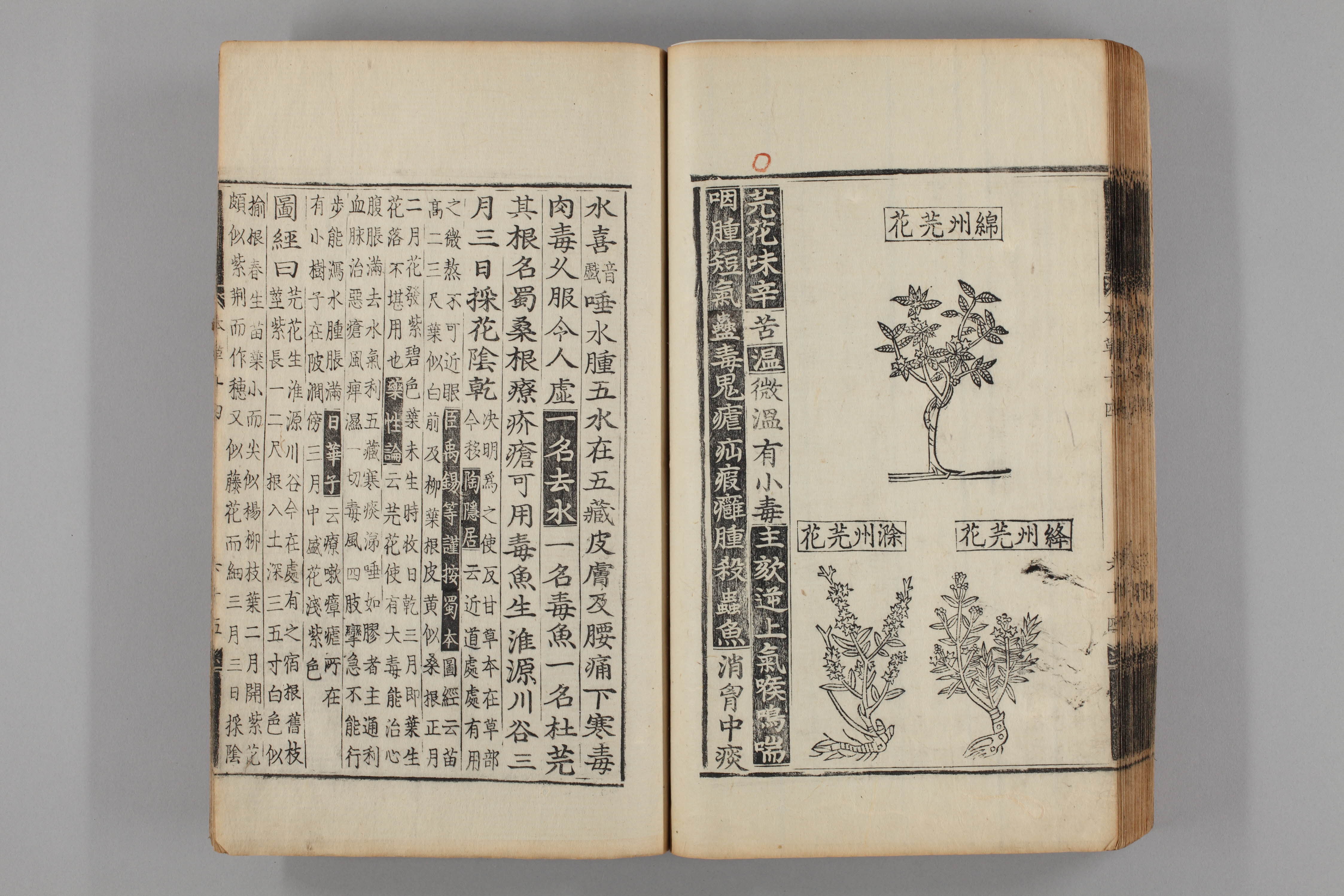 증류본초 원화 0015-0066_원화.jpg