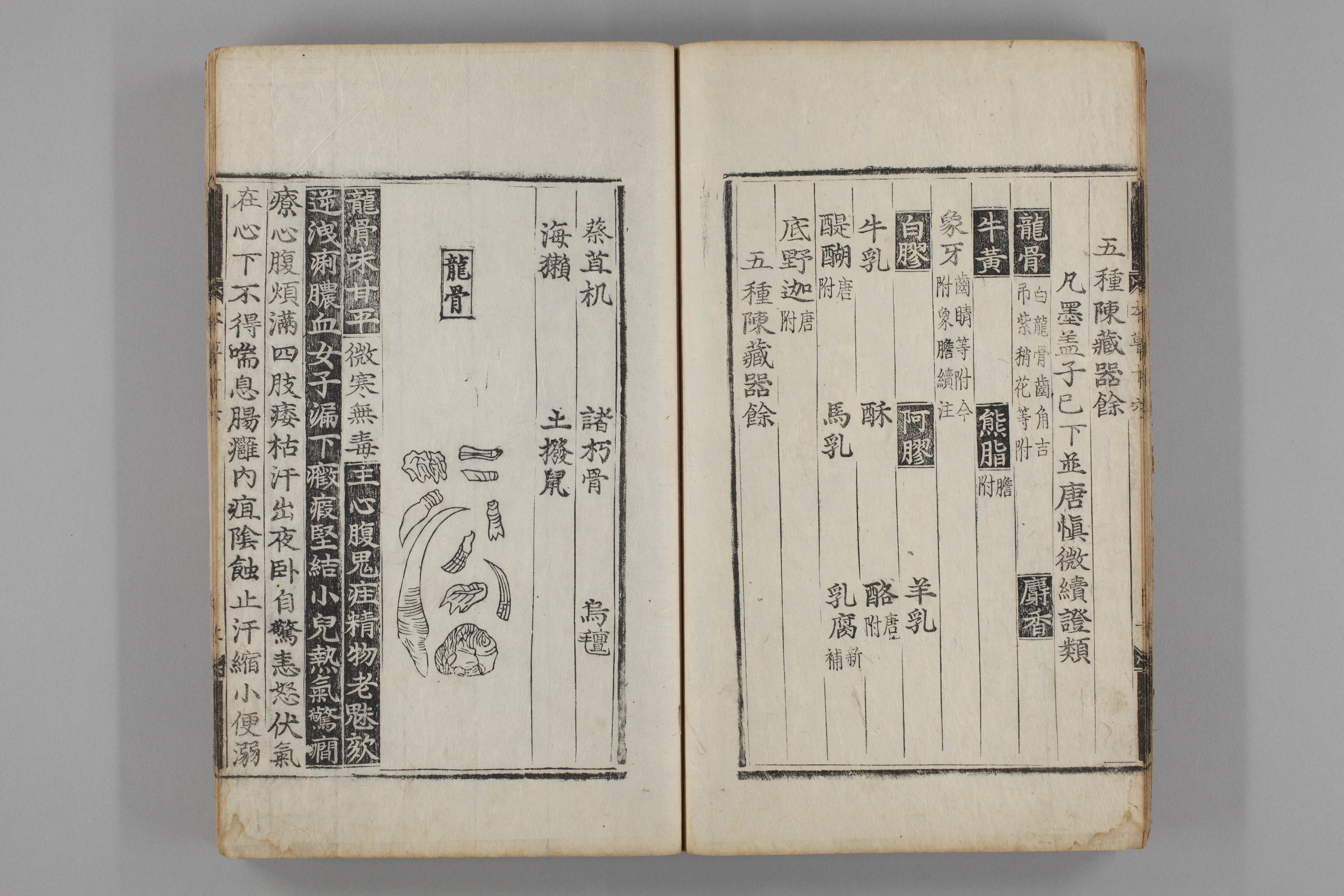 증류본초 용골 0016-0016_용골.jpg