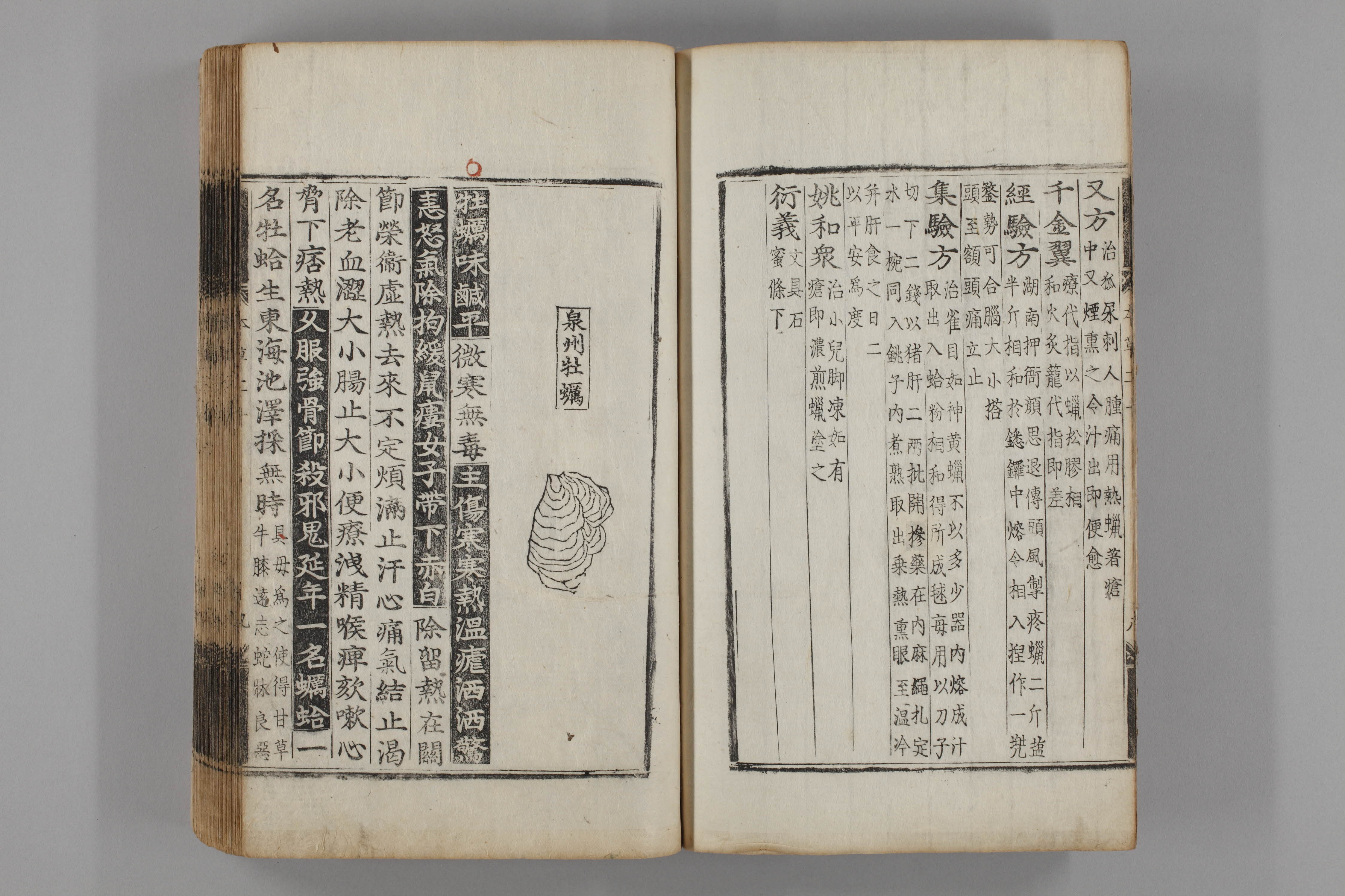 증류본초 모려 0019-0010_모려.jpg