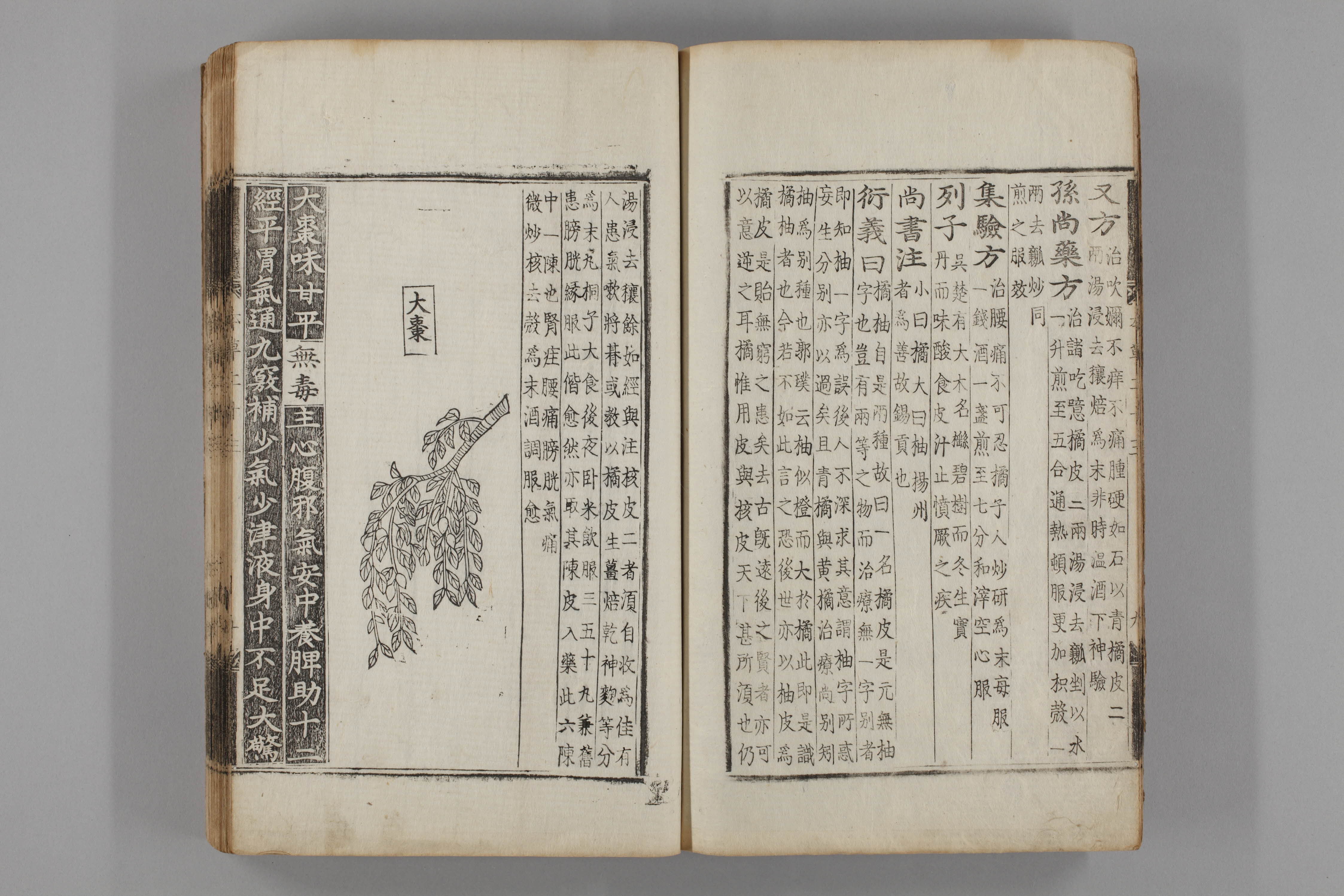 증류본초 대조 0021-0011_대조.jpg