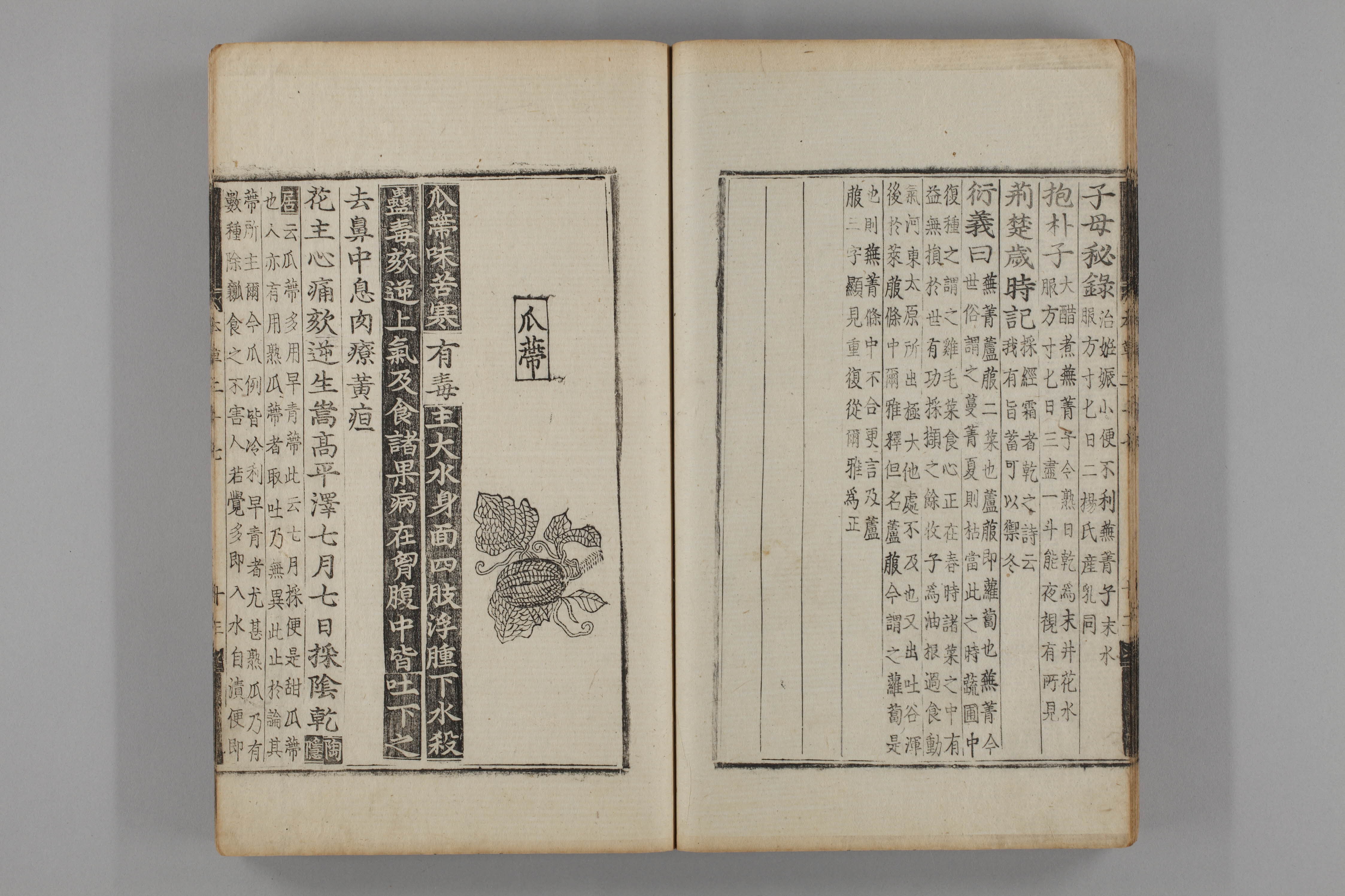 증류본초 과체 0023-0027_과체.jpg